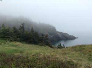 foggy morning view of coast on the Grand Manan Island