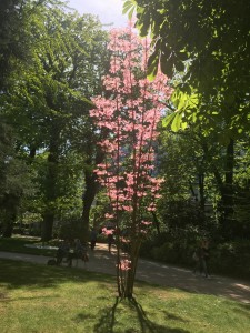 Pink tree in the midst of green trees and grass in Jardin de Luxemburg, Paris