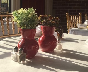 Sun shining on table set with white tablecloth and two red vases holding succulent plants.